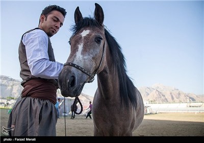 مهرجان الخيول في كرمانشاه