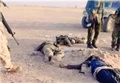 فرماندهان داعش دستور قتل نیروهای زخمی خود در فلوجه را صادر کردند