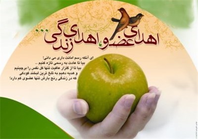 يزد،استان،شادكام،نوري،پيوند،عضو،حوزه،استخوان