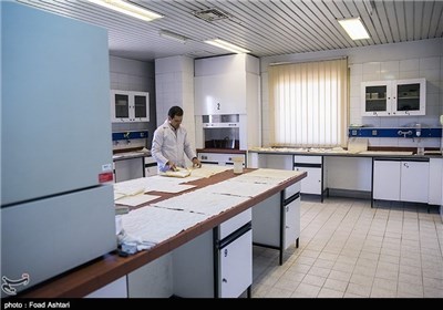 اسناد،كارشناس،پژوهشگران،مرجع،ملي،تسهيل،مشاوره،دسترسي