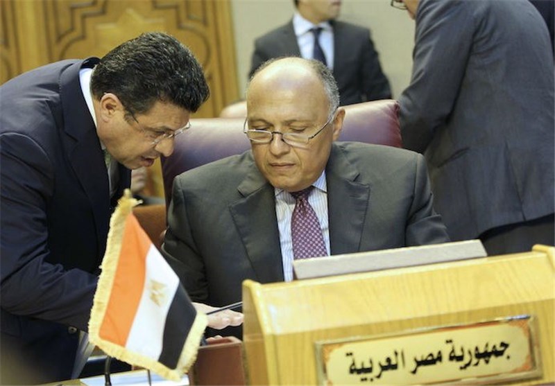 وزیر خارجه مصر: مخالف مانور سیاسی در شمال سوریه به بهانه مبارزه با تروریسم هستیم