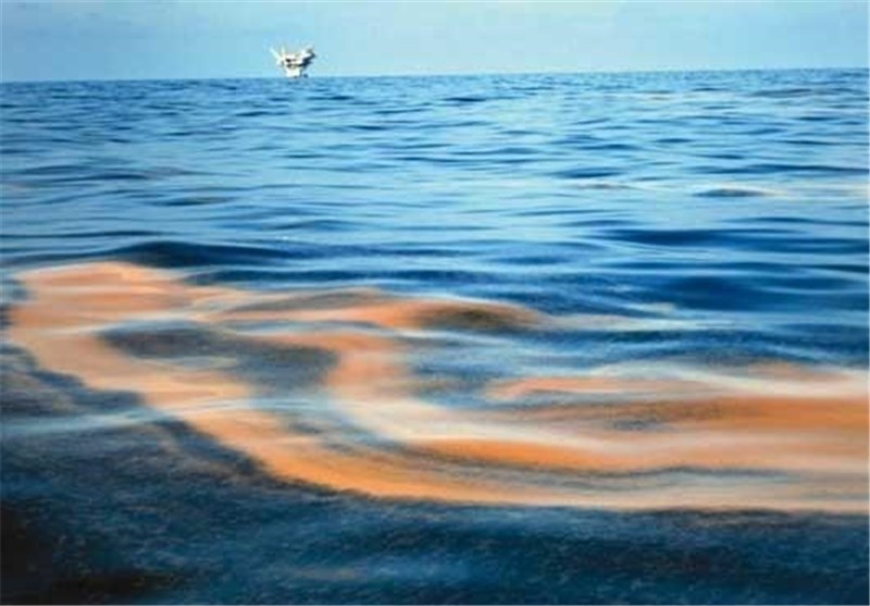 الحاق همه جزایر به مناطق آزاد بدون مطالعه صحیح نیست/استفاده از آب شیرین‌کن‌های غیراستاندارد معضل زیست محیطی سواحل