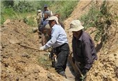 طرح ملی اصلاح الگوی کشت در شهرستان خاش اجرا شد