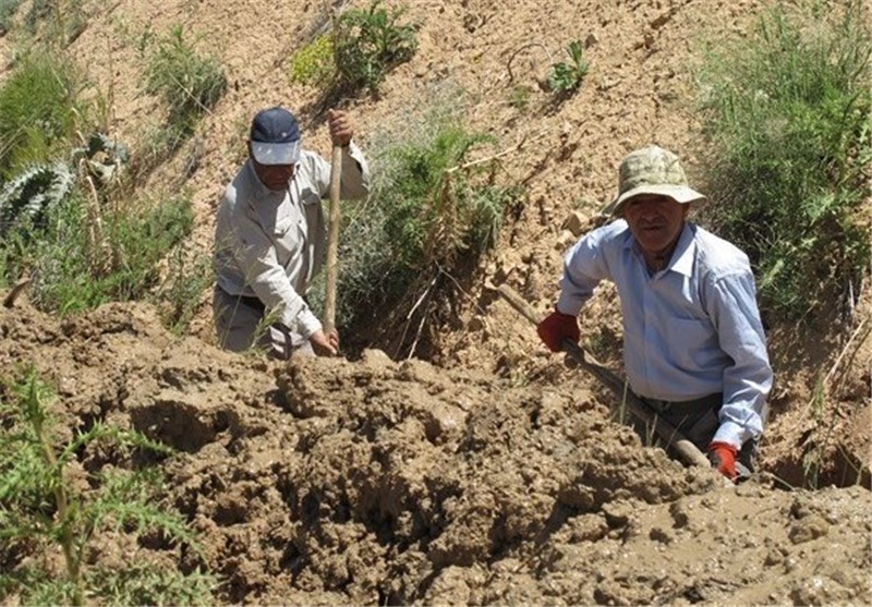 اقدام خلاف قانون در گرفتن عوارض از کشاورزان در استان البرز