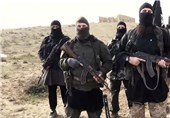 سرکرده داعش در سینا کشته شد