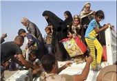 Iraq Arrests over 500 Daesh Suspects Fleeing Fallujah