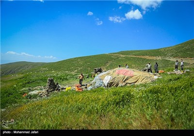 ورود اولین گروه عشایر به ارتفاعات زنجان