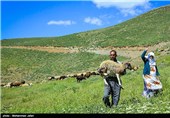 تولیدات عشایر اردبیل در نمایشگاه ملی توانمندی‌های تهران معرفی می‌شود