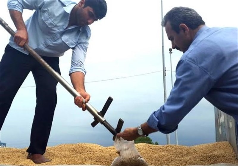 استاندار گلستان: 2300 میلیارد تومان از مطالبات کشاورزان پرداخت شد