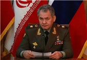 شویگو: نیروهای روسی ماموریتی که پوتین مشخص کرده بود انجام دادند