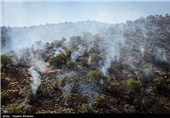 مراتع شهرستان پلدختر در آتش سوخت