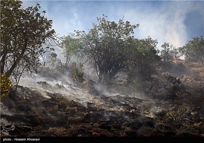 Wildfire in Pasargad Region, Southwest of Iran