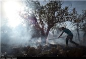استقرار 38 اکیپ بازرسی در کانون‌های بحرانی آتش‌سوزی جنگل‌ها در استان لرستان
