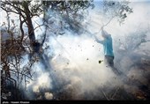 آتش‌سوزی در پاسارگاد به طور کامل مهار شد/ دقایقی دیگر تا مهار کامل آتش‌ در پارک ملی بمو