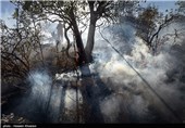 آتش‌سوزی 100 هکتاری در جنگل‌ها و مراتع شهرستان گیلانغرب مهار شد‌
