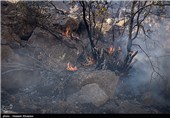 163 هکتار از اراضی ملی استان زنجان در آتش سوخت