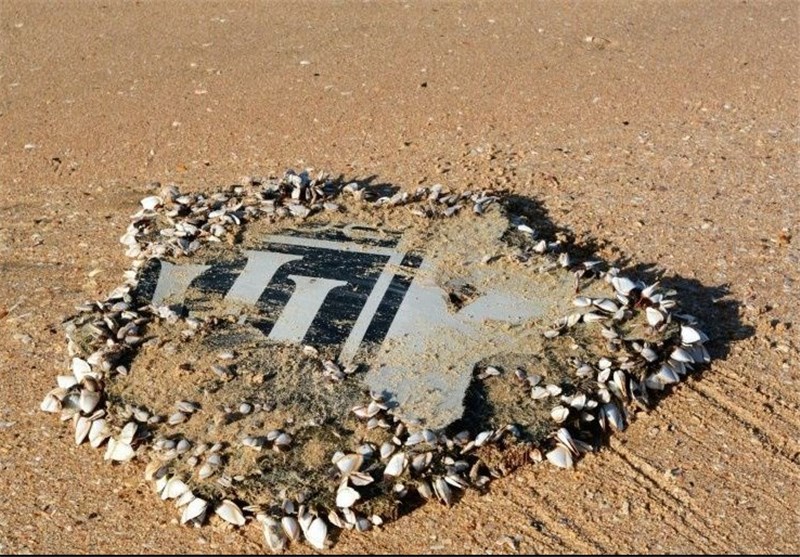 New Debris Images Examined by MH370 Search Team