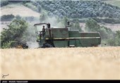 100 تن محصول گندم کشت‌شده در اراضی ملی بیله‌سوار توقیف شد