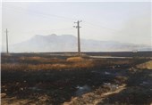 کشتزارهای گندم در منطقه بنسنجان یاسوج در آتش سوخت‌