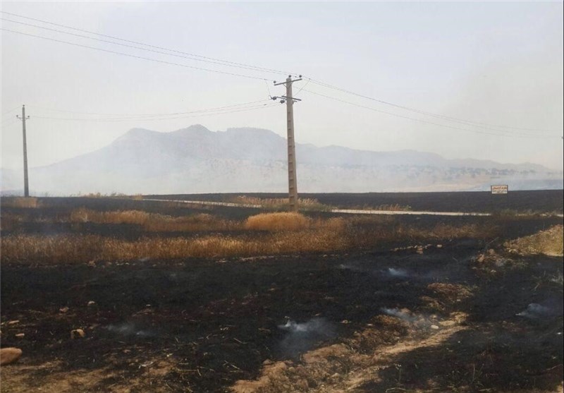 کشتزارهای گندم در منطقه بنسنجان یاسوج در آتش سوخت‌