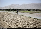خشک سالی زاینده رود و آغاز نشاکاری در مبارکه اصفهان