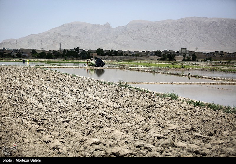 دسترنجی که خشک شد؛ وقتی زاینده‌رود زمین‌های غرب اصفهان را سیراب نکرد