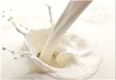سالانه بیش از 234 هزار تن شیر در لرستان تولید می‌شود
