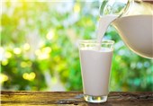 گواهی سلامت شیر به دامداری‌های بهداشتی استان سمنان اعطا می‌شود