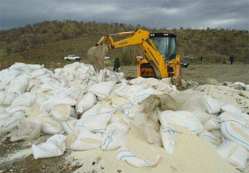 5000 تن برنج آلوده با وجود فشارها توسط دانشگاه علوم پزشکی کرمانشاه امحاء شد‌