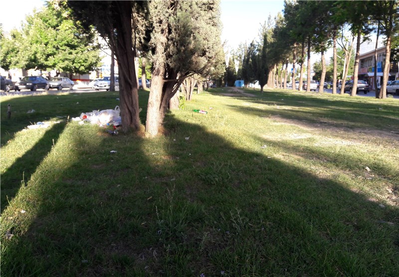 سرانه فضای سبز در قزوین 12.5 مترمربع است