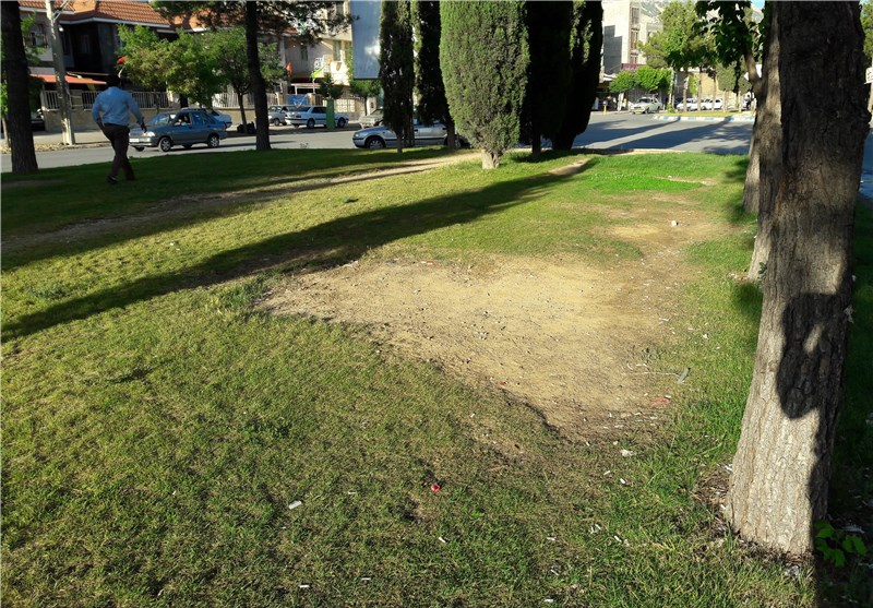 آبیاری با آب شور و آهکی مهم‌ترین چالش فضای سبز ساوه است