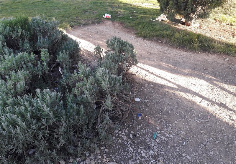 احداث 20 سالن چندمنظوره ورزشی در شهرری‌؛ مجموعه فرهنگی طغرل بازسازی می‌شود