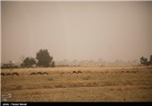 توده گرد و غبار جدید عراقی در راه ایران / وزش باد شدید در تهران