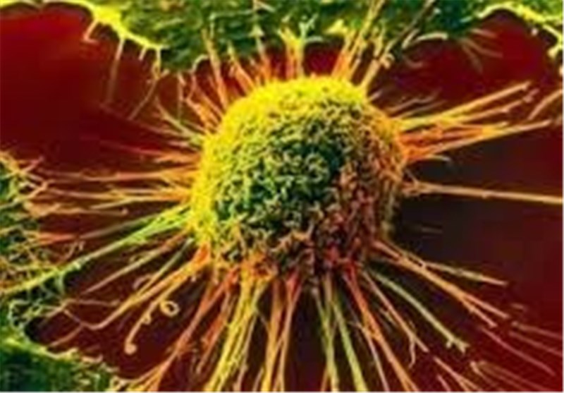درمان سرطان با گیاهان/طب سنتی به تومورها شبیخون می‌زند