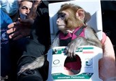 اوج‌گیری ایران در حوزه &quot;زیست فضا&quot; با پرتاب دومین میمون فضانورد + عکس و فیلم