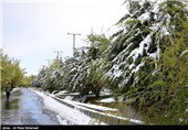 احتمال بارش برف در ارتفاعات اردبیل