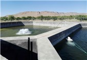 هشدار رئیس شیلات ایران به محیط زیست درباره نابودی گونه‌های داخلی آبزیان
