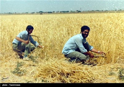 خاطرات سرخ ایثار /شهید سید احمد حسینی