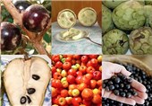 پذیرایی از المپیکی‌ها با 40 نوع میوه برزیلی + تصاویر