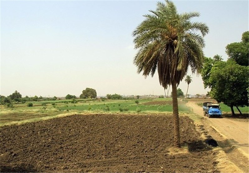 بیش از 23 هزار هکتار از اراضی استان سمنان در طرح کشاورزی حفاظتی سامان‌دهی شدند
