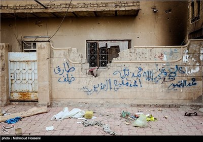 دیوار نوشته گروه های نظامی در شهر فلوجه