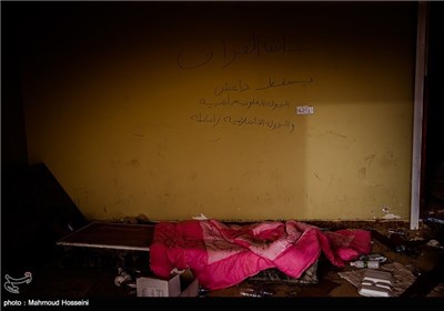 دیوار نوشته با عنوان زنده باد عراق ، مرگ بر داعش‌، دولت علوی ماندگار است و داعش نابود خواهد شد در شهر فلوجه