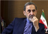 Iran’s Velayati Decries Attempted Coup in Turkey