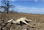 زاهدان| خشکسالی جنوب‌شرق تمامی ندارد؛ سیل هم نتوانست کم‌بارش‌ترین استان کشور را نجات دهد+ سند
