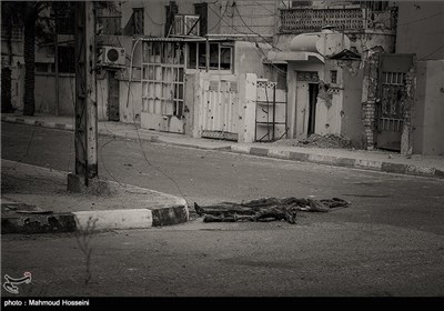 فلوجه پس از آزادی همچنان منظره اجساد سوخته در خیابانهای شهر است