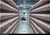بازدید خبرنگاران از روند تولید کارخانه نخ لاستیک سازی کورد - کرمانشاه