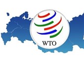 WTO پیش‌بینی خود را برای رشد تجارت جهان به نصف کاهش داد