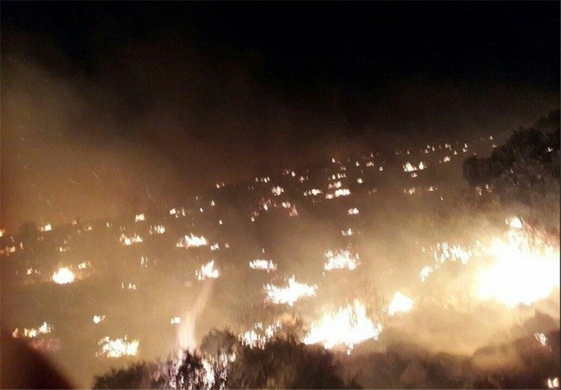 648 هکتار از جنگل‌ها و مراتع کهگیلویه و بویراحمد در آتش سوخت