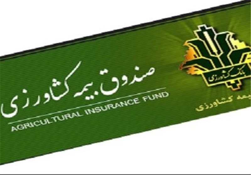 مشهد| بیمه کشاورزی 13 هزار میلیارد ریال غرامت پرداخت کرد