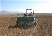 سهم بخش کشاورزی از اشتغال استان زنجان 31.6 درصد است